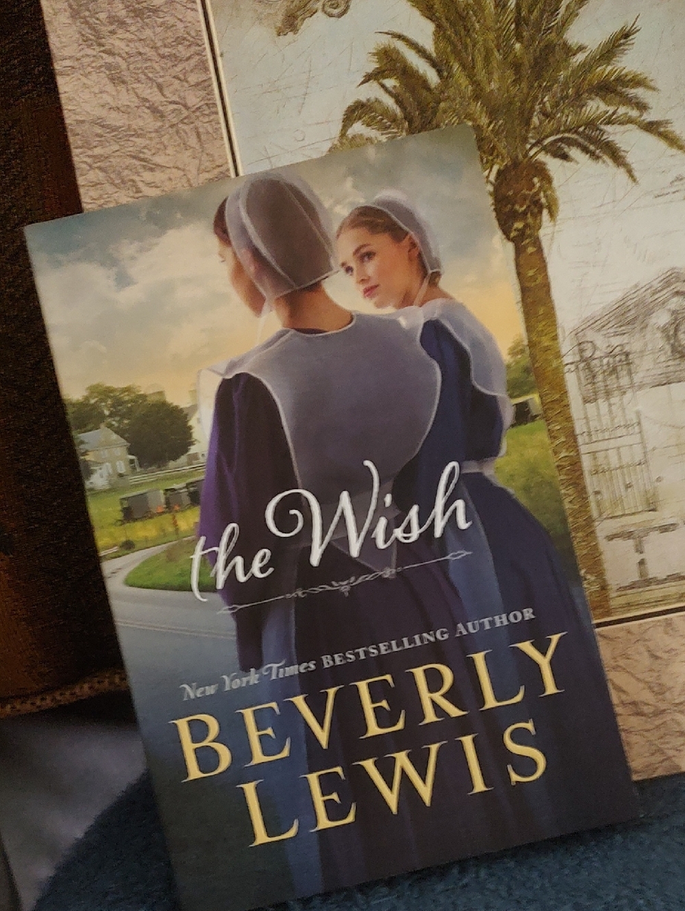 The Wish by Beverly Lewis  Paperback-2016